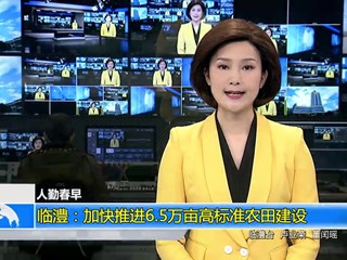 人勤春早(2.7)